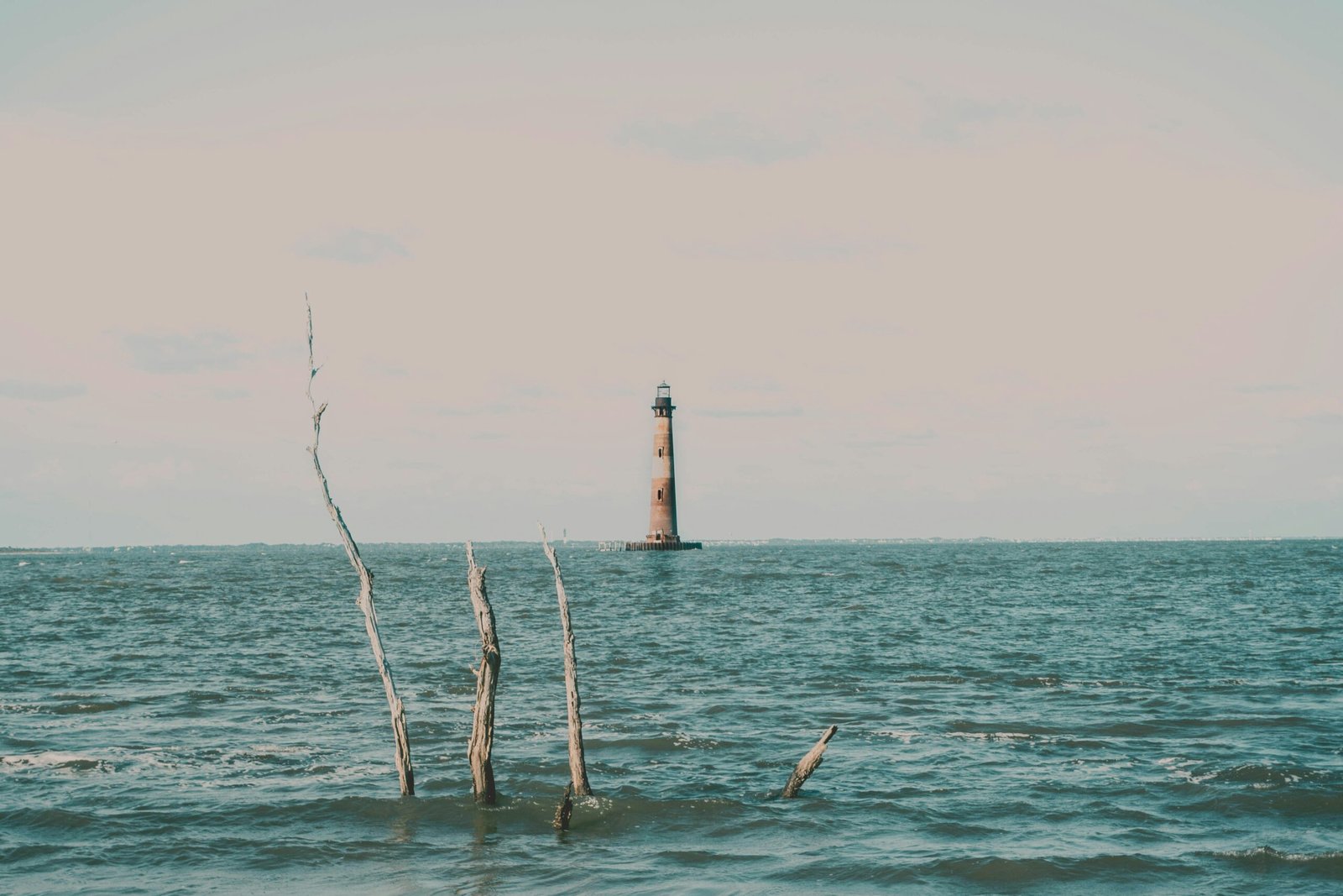 Blog 4