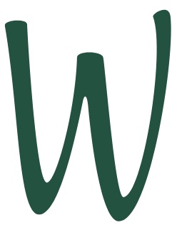 Websites voor coaches